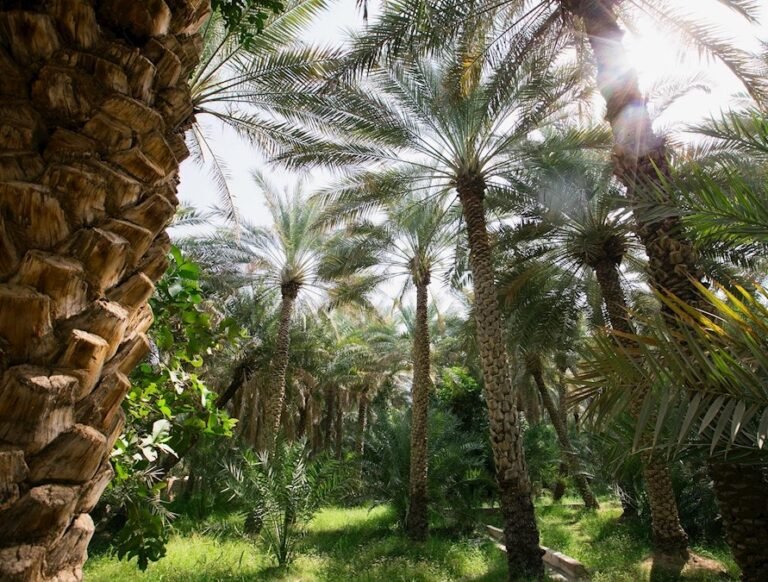 0901456531251-web-tete-4