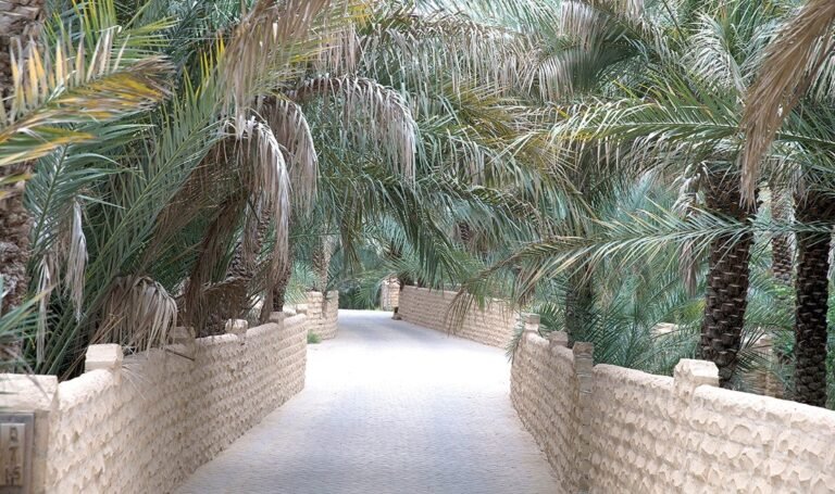 ممرات الممشى