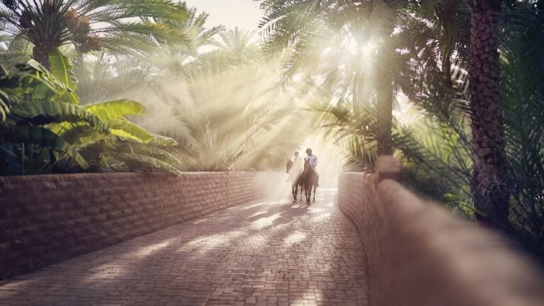 واحة يتخليل الشمس